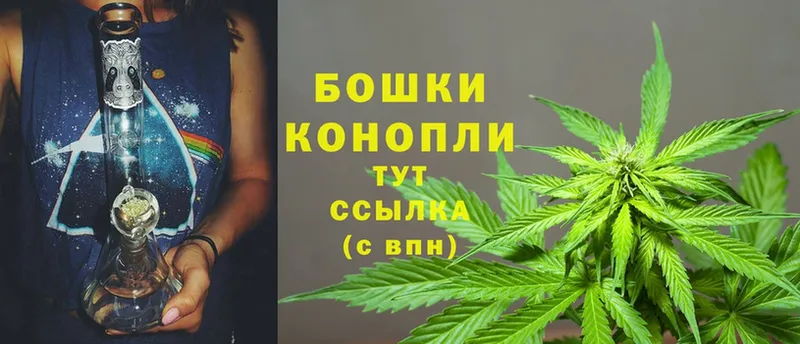 Каннабис OG Kush  Лодейное Поле 